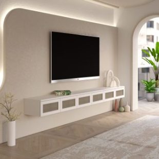 TV unit